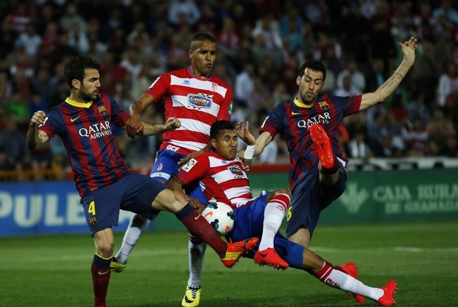 不仅是一项 不仅是一项